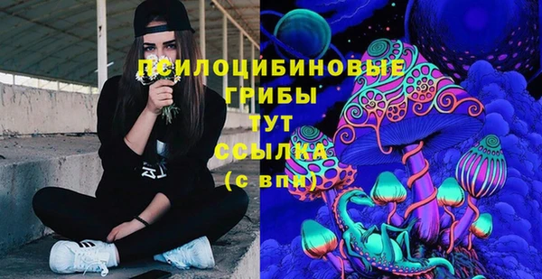 круглые Вяземский